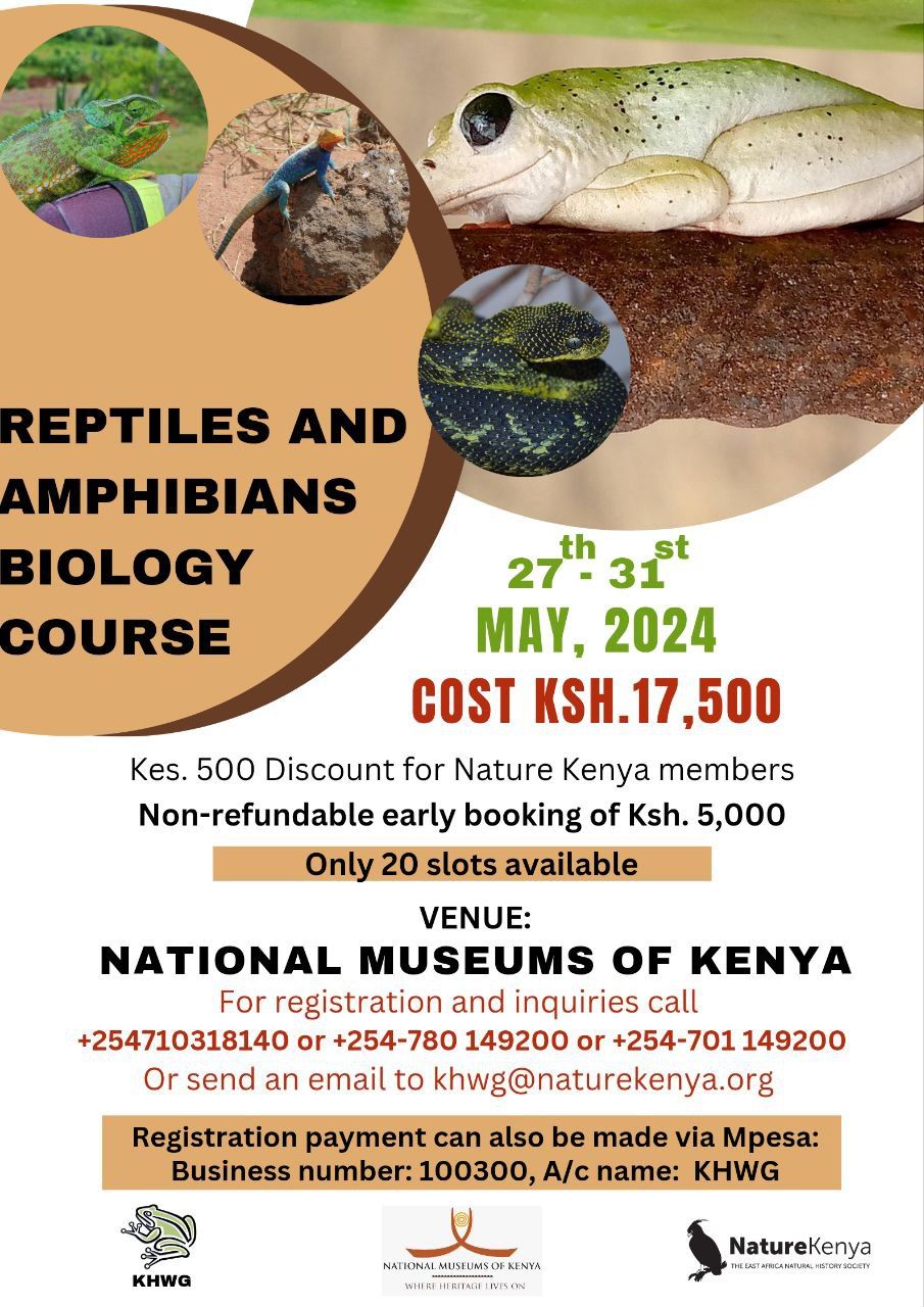 Reptiles and Amphibians Biology Course