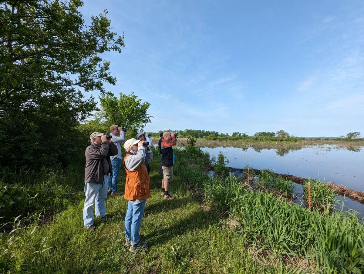 Birding in the Southeast