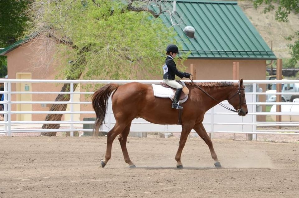 4-H\/FFA English Horse Show