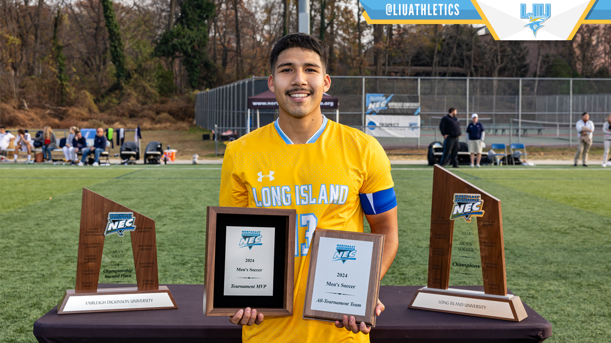 Parking LIU Sharks at Mercyhurst Lakers Mens Basketball