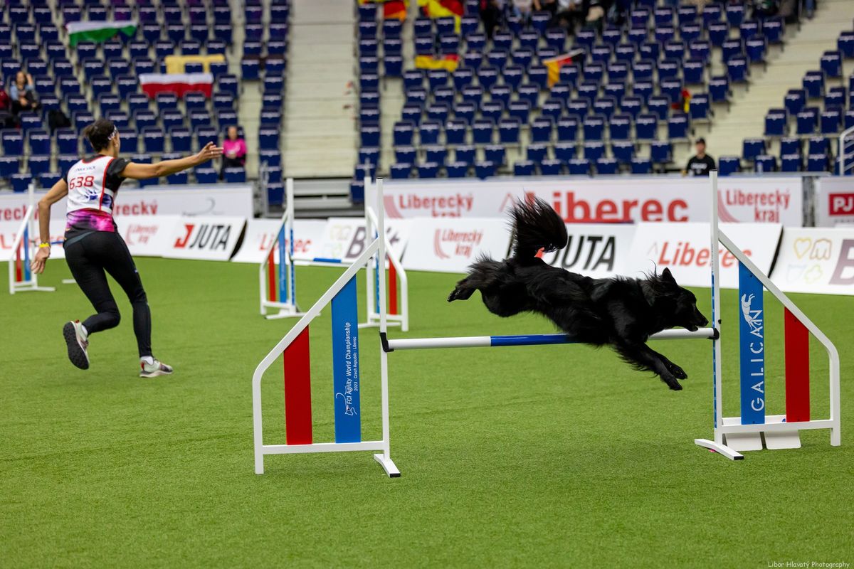 Z\u00edmn\u00ed camp agility s Lenkou Sack v Beroun\u011b