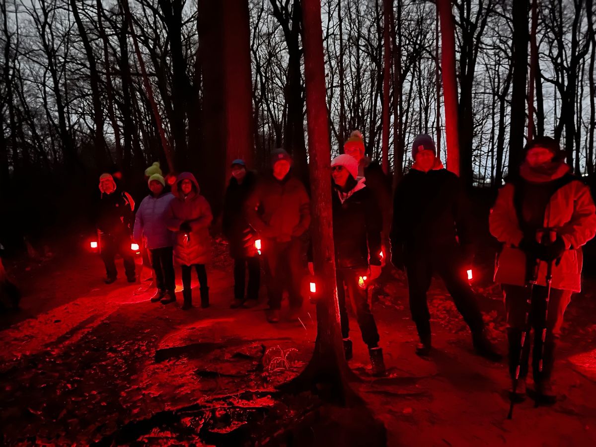 Night Light Hike