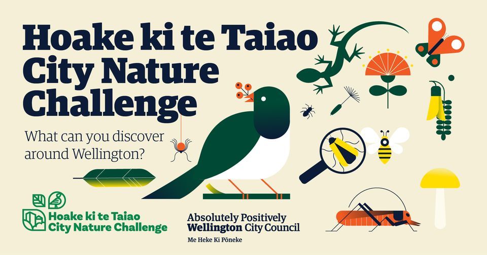 City Nature Challenge: Te Upoko o te Ika, Wellington Region