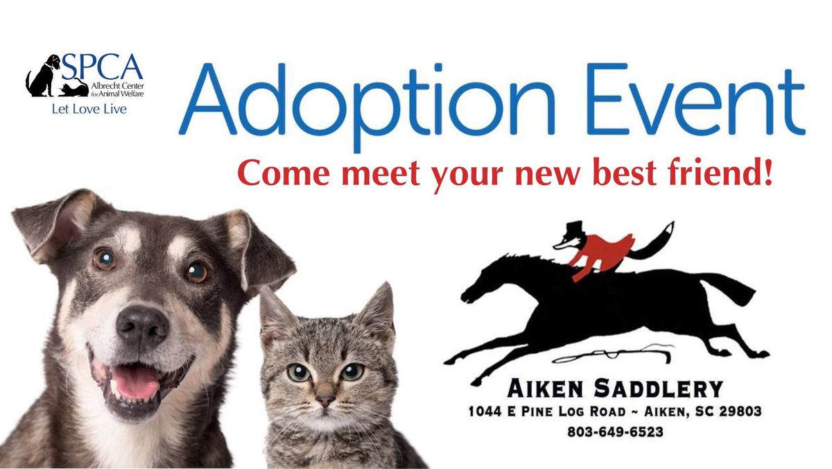 Saddle Up for Adoptions!