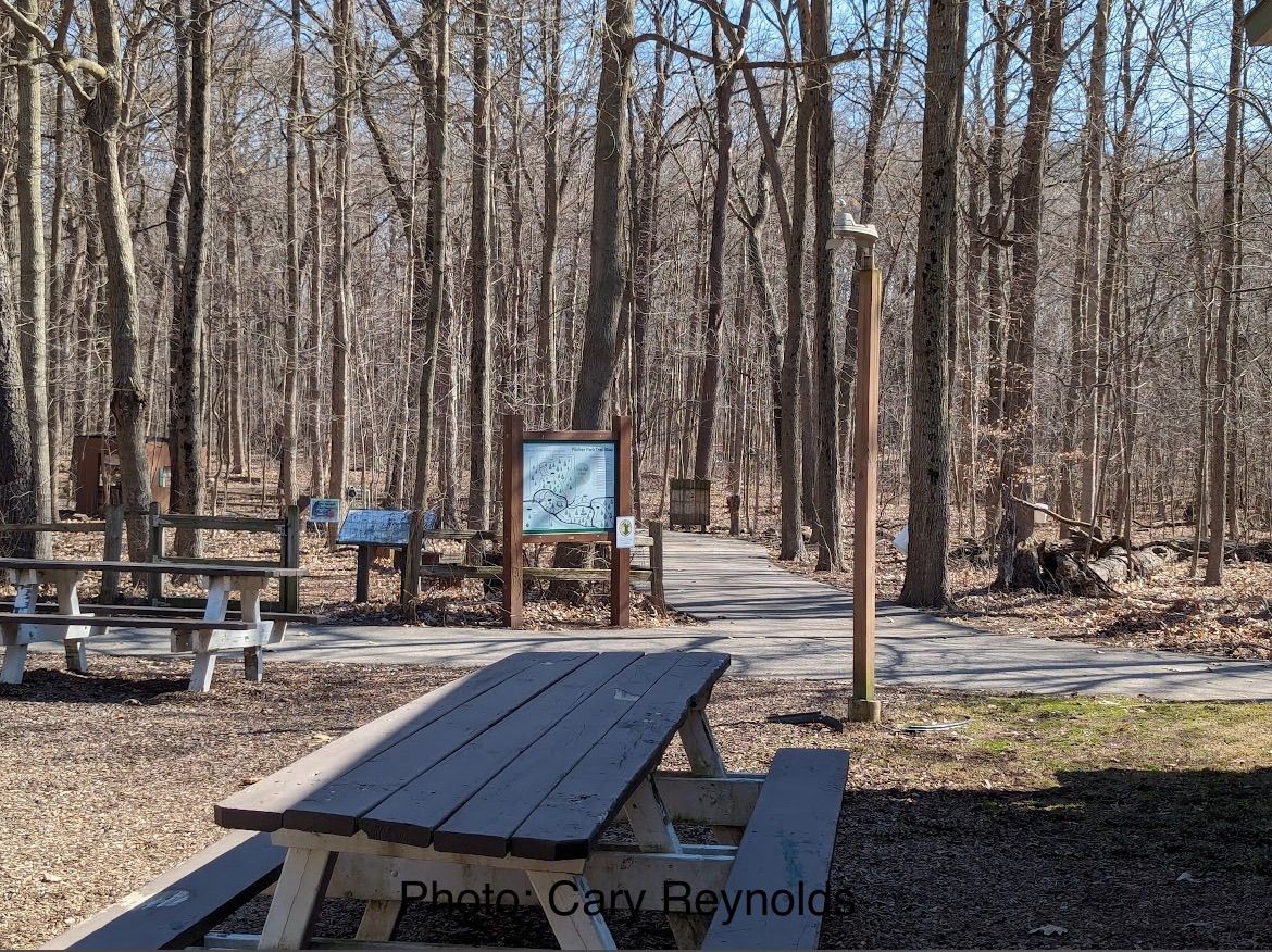 Summer Second Thursday Birding Hike and Picnic