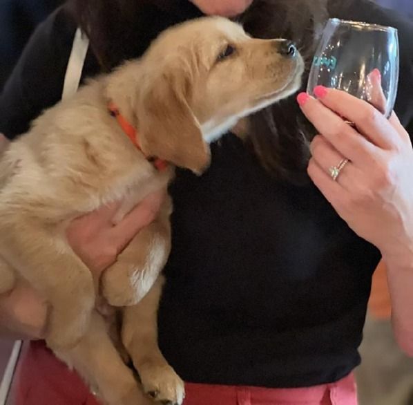 2nd Annual Canine Guardians' Wine Tasting Fundraiser