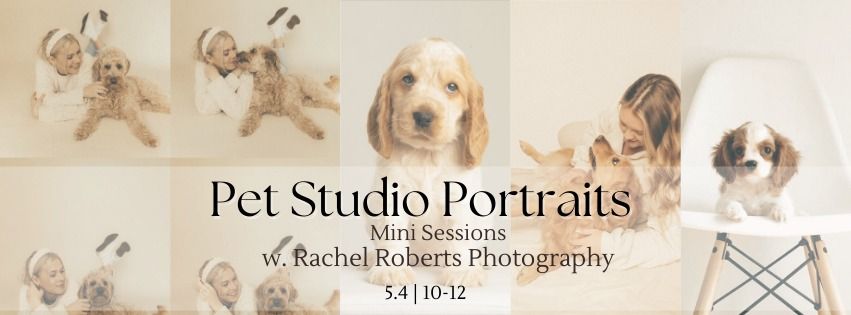 Pet Studio Portraits w. Rachel Roberts Photography 