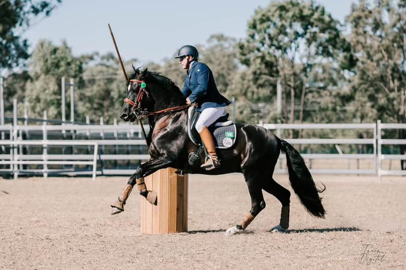 NDHD & Tri Valley Interclub Working Equitation Clinic & Competition 