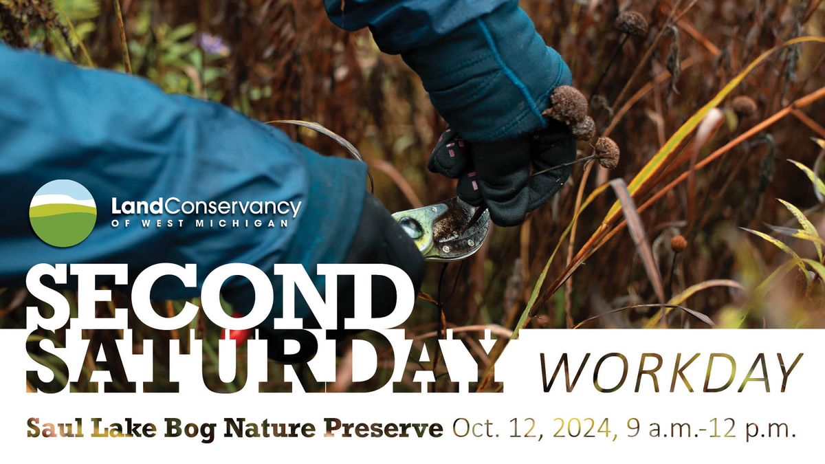 Second Saturday Workday at Saul Lake Bog Nature Preserve