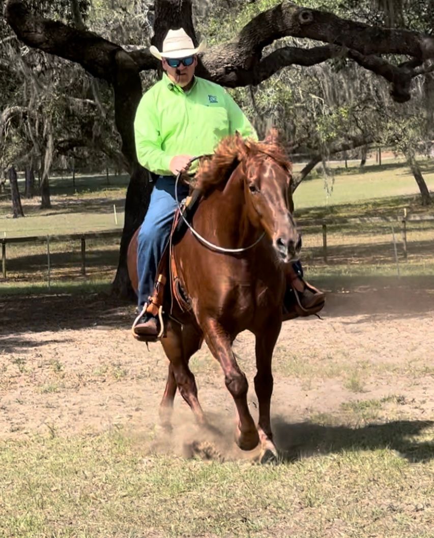 Carl Bledsoe Three Day Clinic