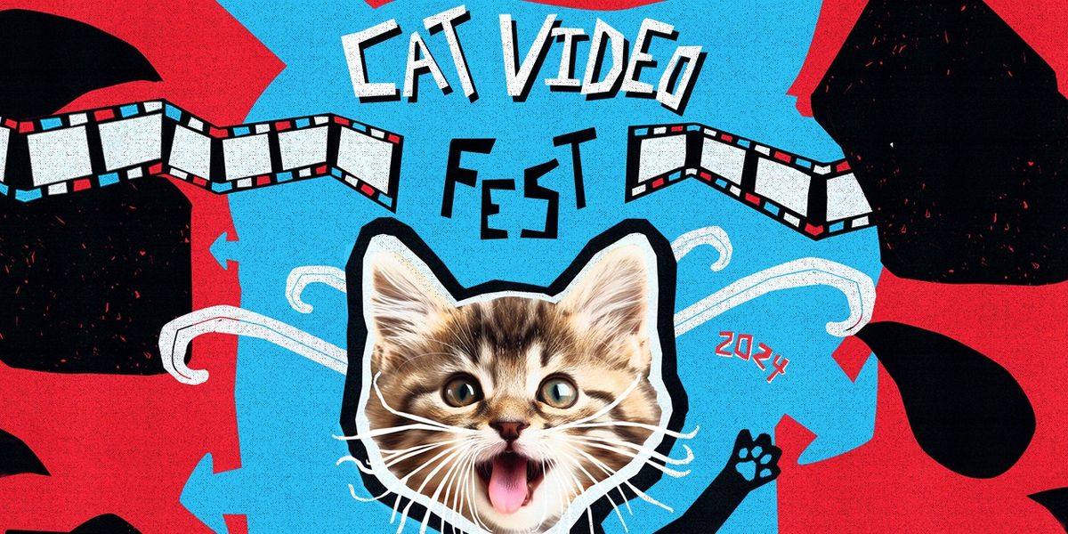 CatVideoFest 2024