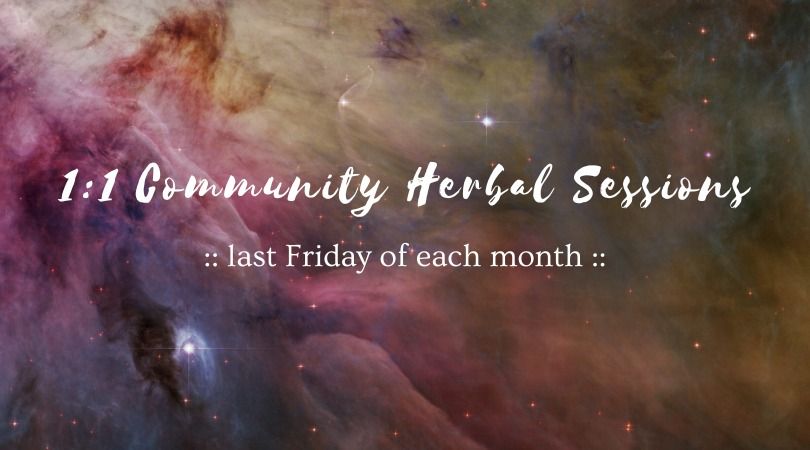 1:1 Community Herbal Sessions
