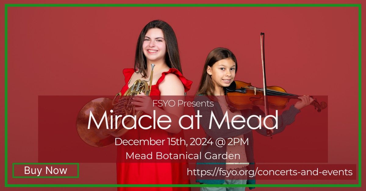 Miracle at Mead Holiday Festival