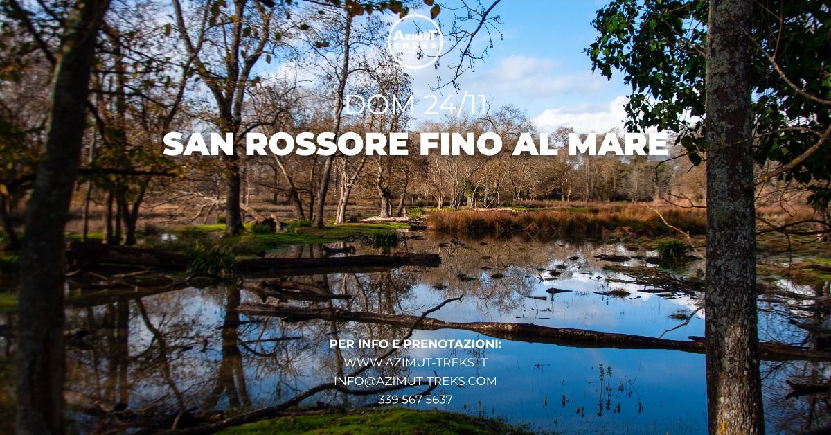 Trekking San Rossore fino al Mare!