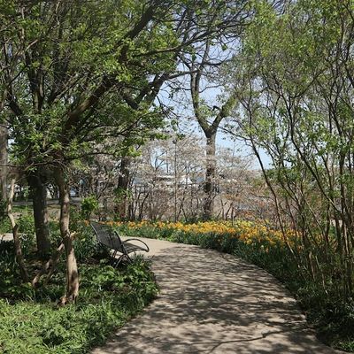 Park City Toronto