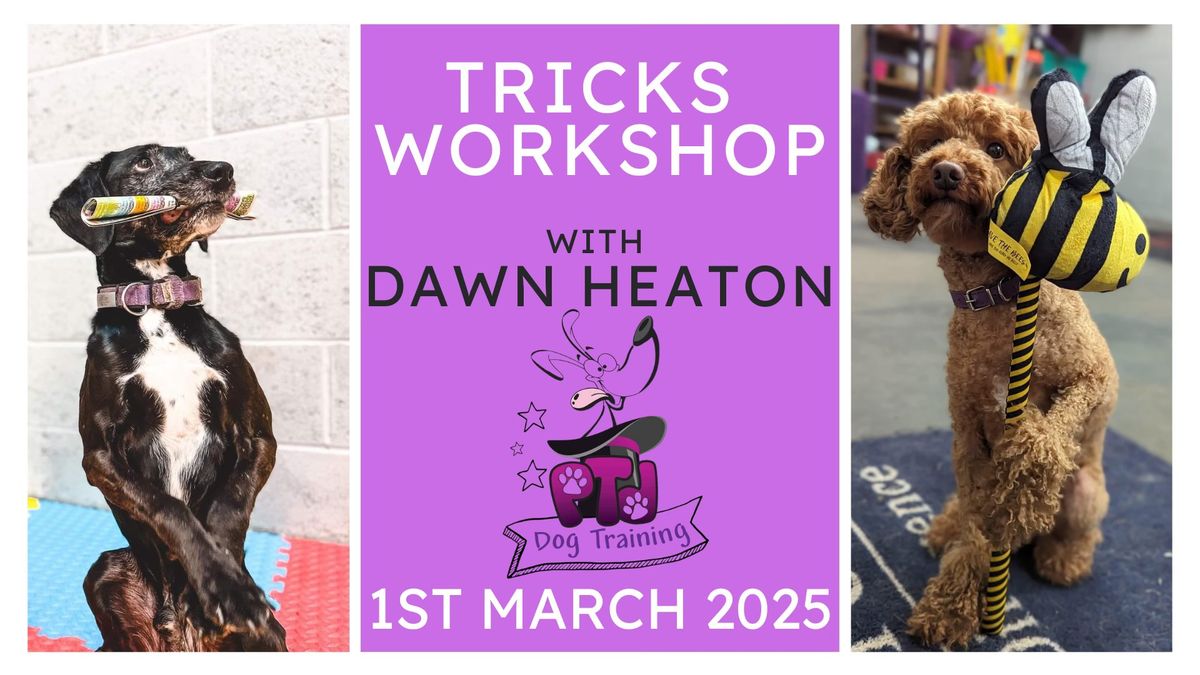 Tricks Workshop with Dawn Heaton