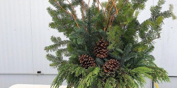 Canoyer Garden Center's Fresh Greens Container Class