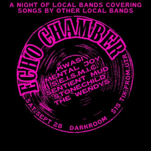 Echo Chamber - Chch Covers Night