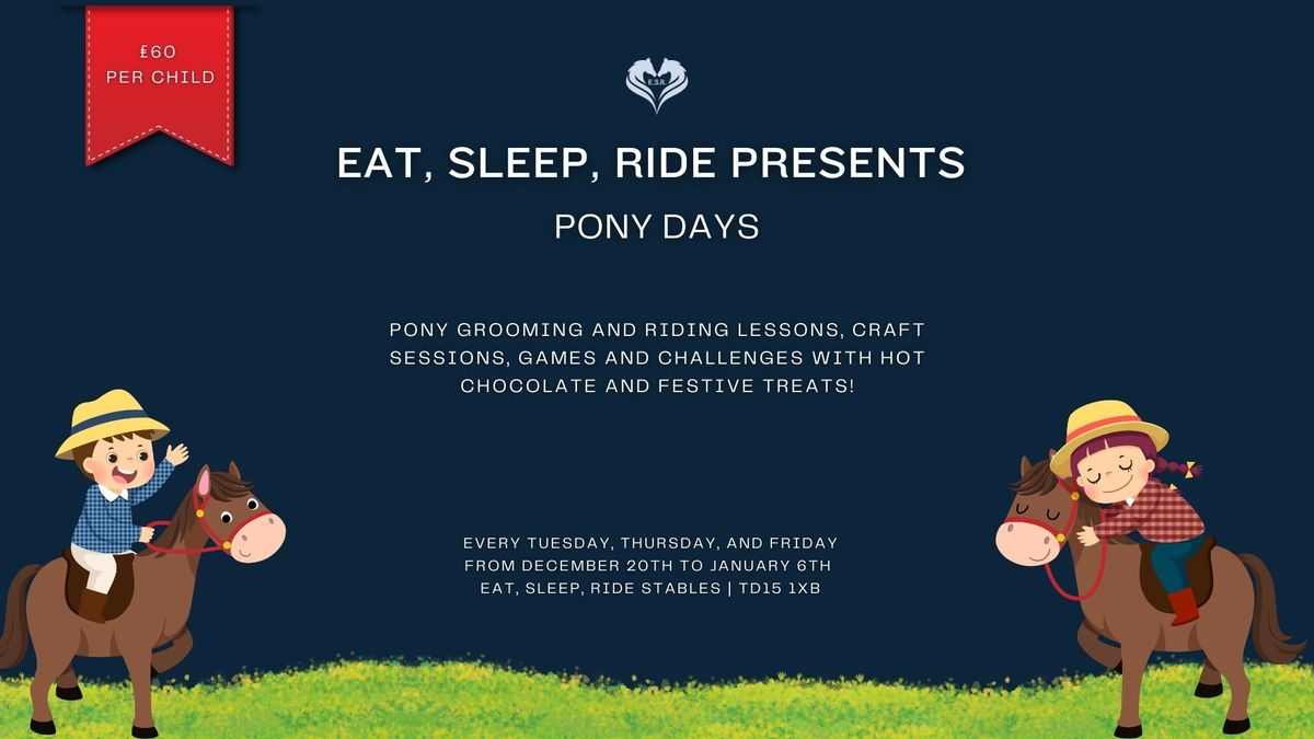 \ud83c\udf84 Holiday Pony Days \u2013 Fun for the Kids This Festive Season! \ud83c\udfa0