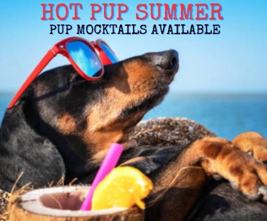 Hot Pup Summer
