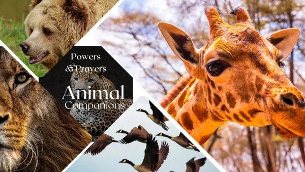 Animal Power Journeys and Prayer Pack Creation Circle- Tucson