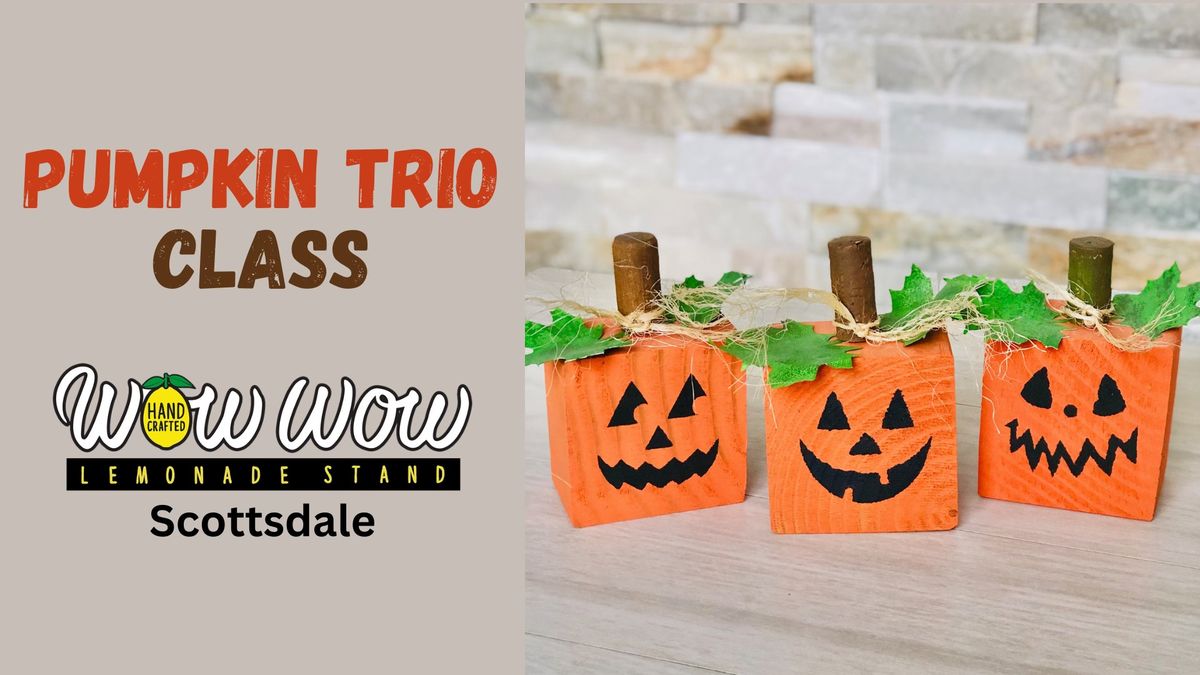 DIY Pumpkin Trio Class