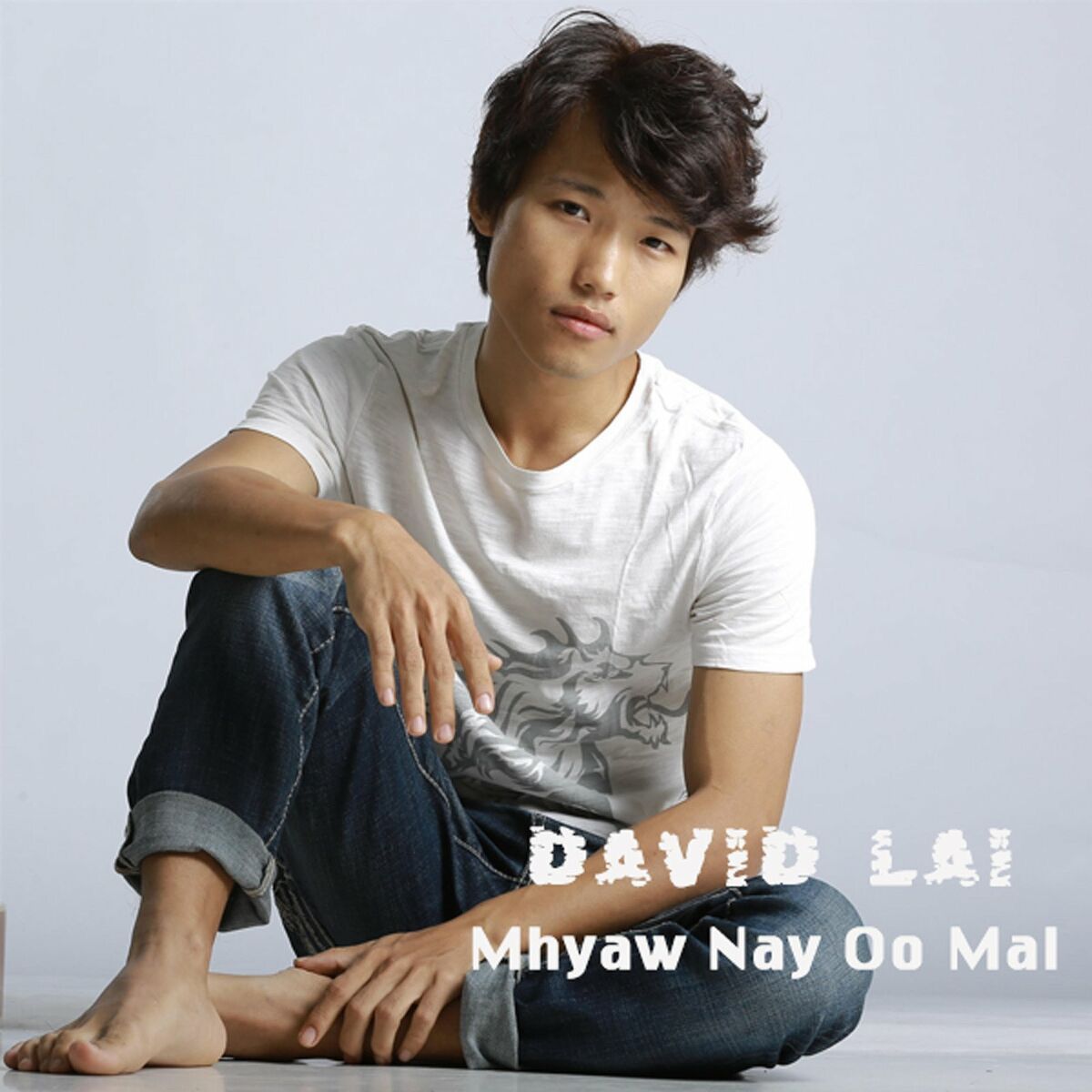 David Lai (Concert) 