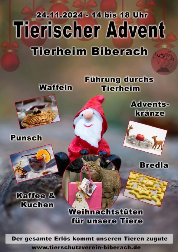 Tierischer Advent