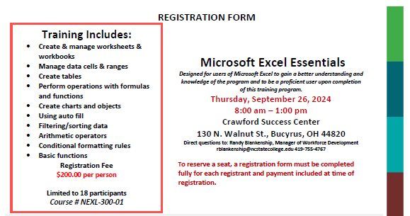 Microsoft Excel Essentials Training