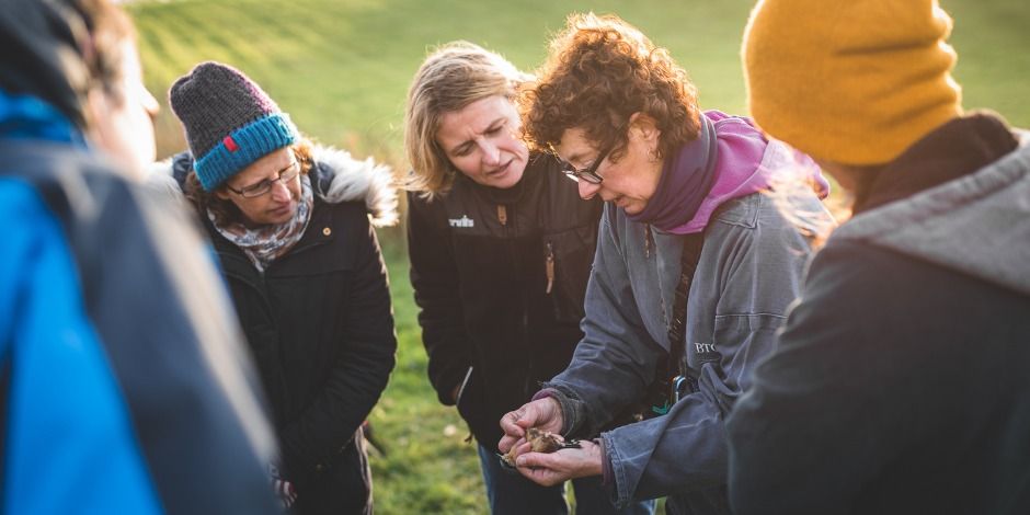 Bird Ringing with the Redditch Ringing Group