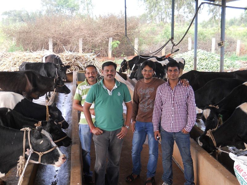 Commercial Dairy Farming - One Day Workshop - 5th May