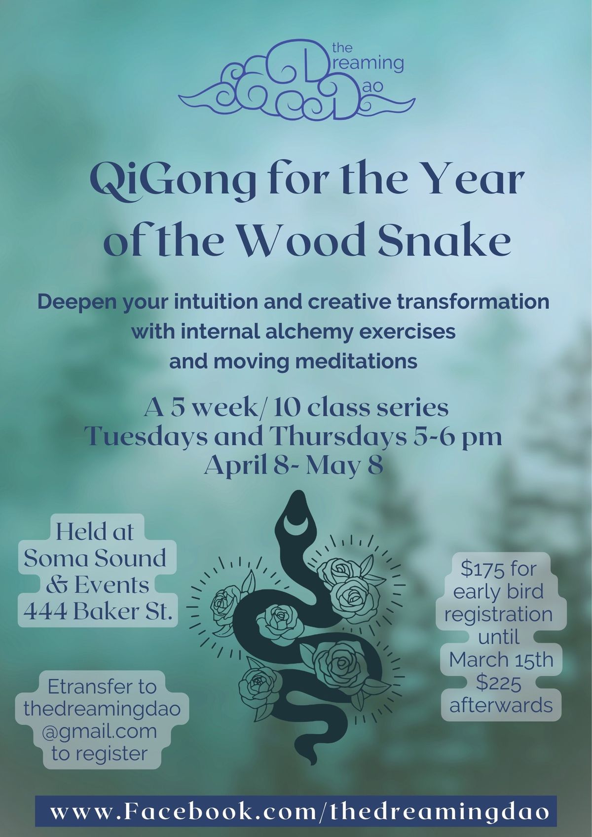 QiGong series for the Year of the Wood Snake