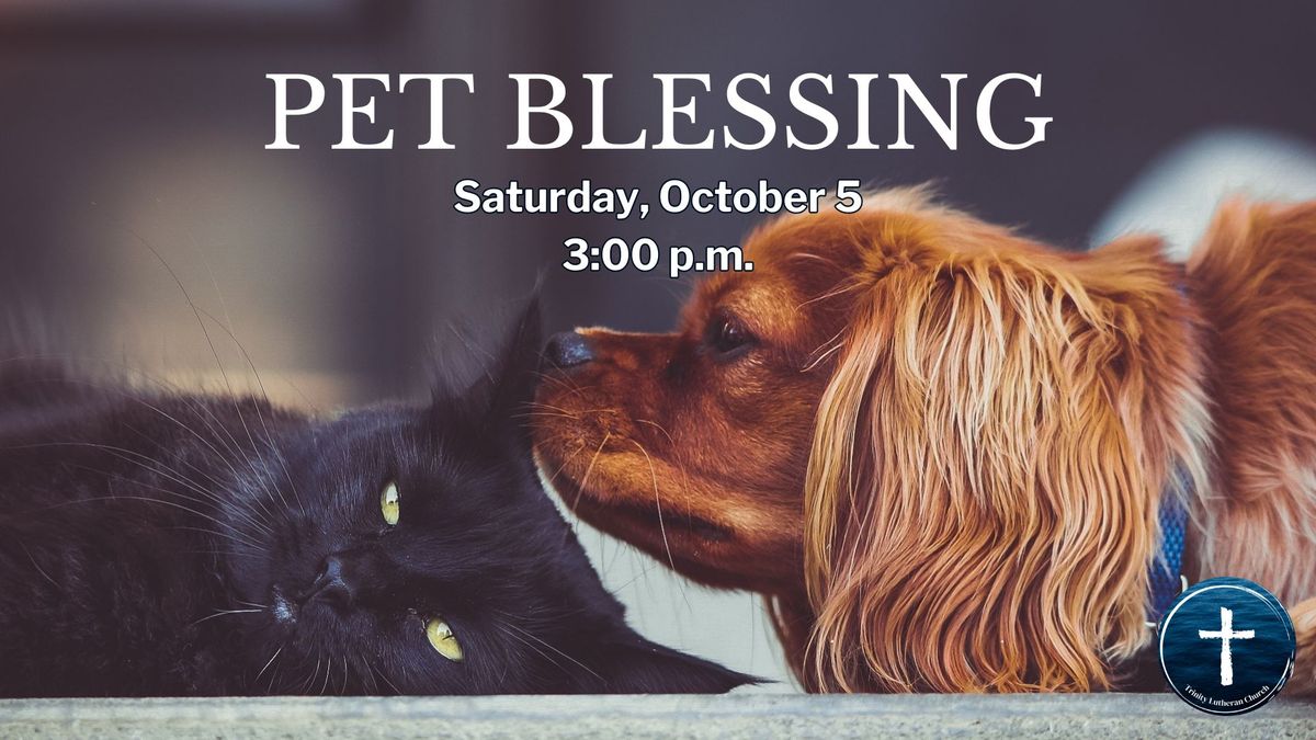 Pet Blessing