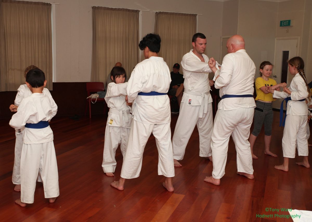 Sunday Beginners Karate for Adults and Children 6 years and above