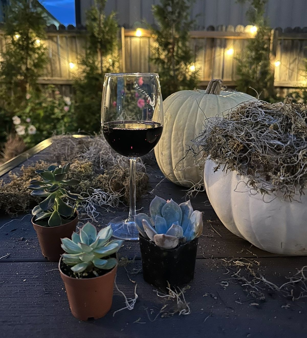 Wine and Design: Succulent Pumpkin Workshop