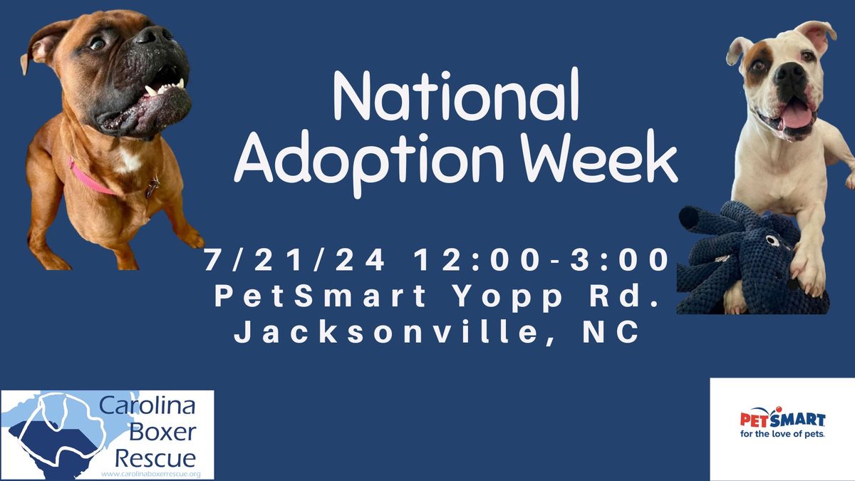 National Adoption Week 