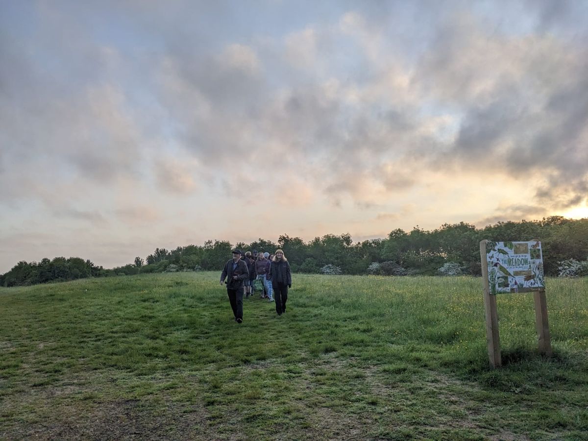 Dawn Chorus Walk