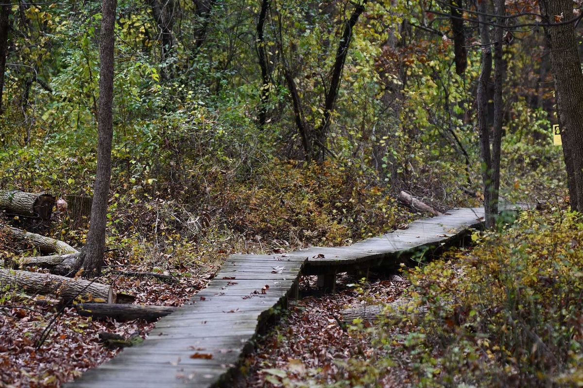 Prairie Sampler and Trail Workday