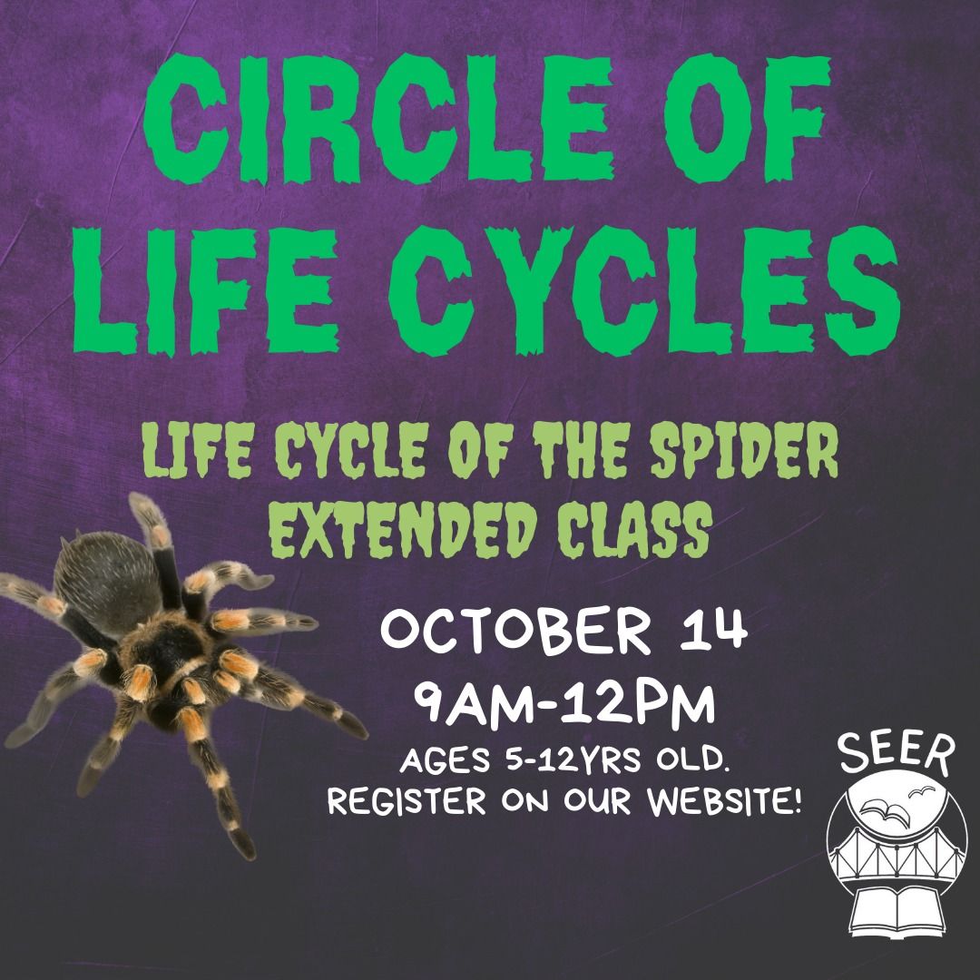 Life Cycle of the Spider Extended Class