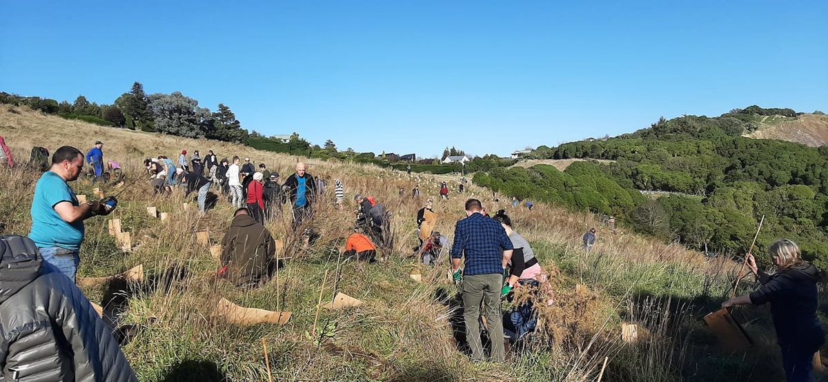 Halswell Quarry Park Community Planting Event