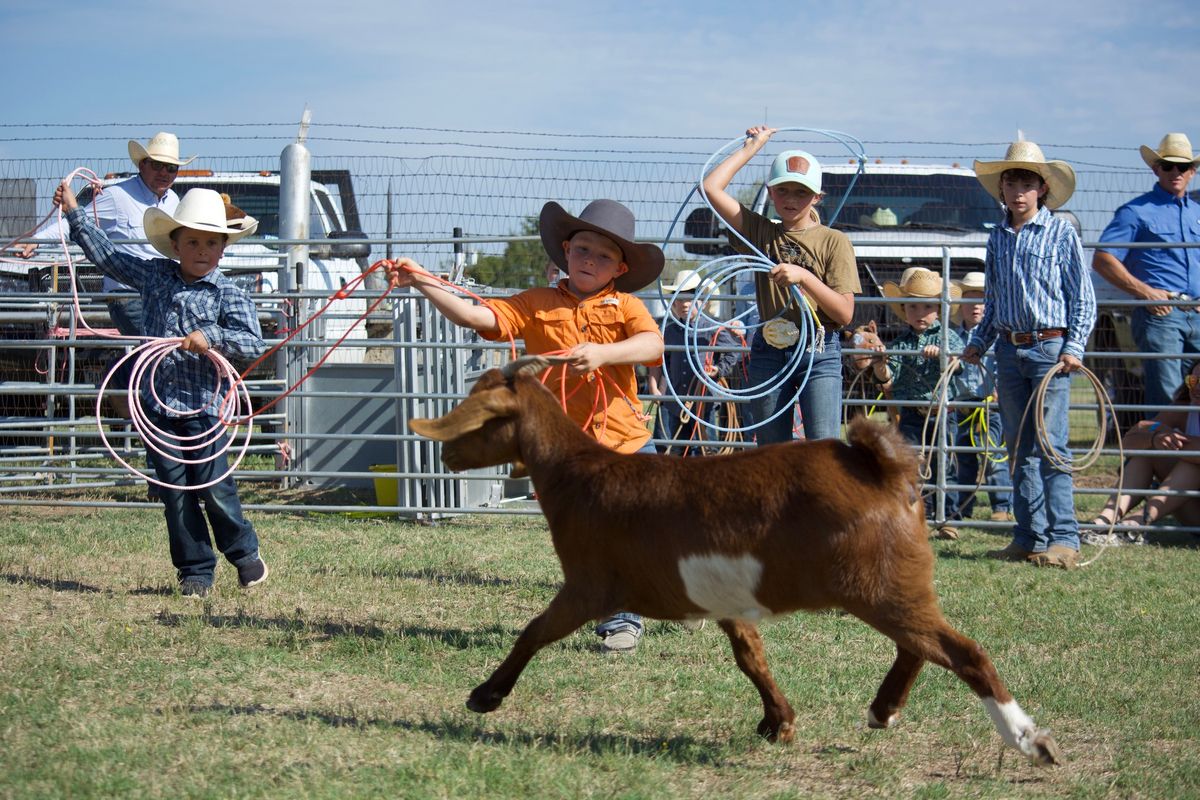 Empowered Learners Ranch Rodeo 2024