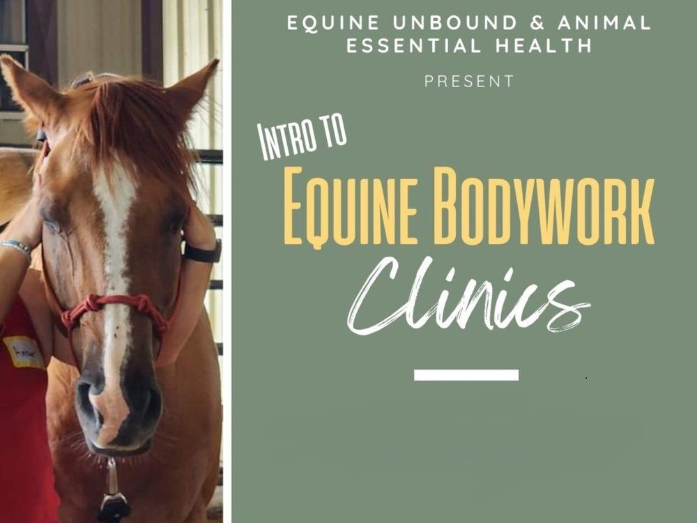 Intro To Bodywork Clinic