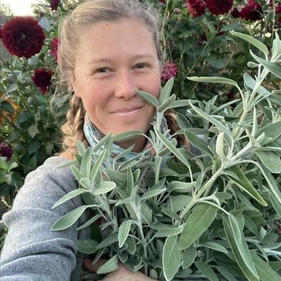 Anna Derrer - Nettles and Petals