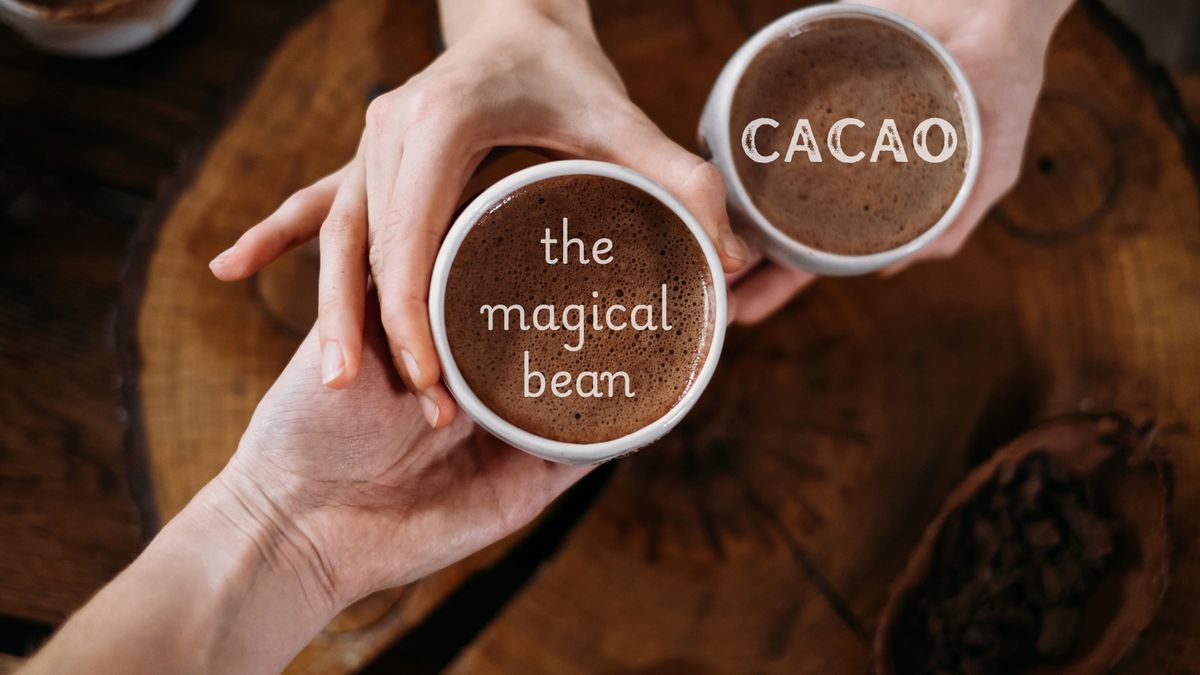 Cacao, the Magical Bean