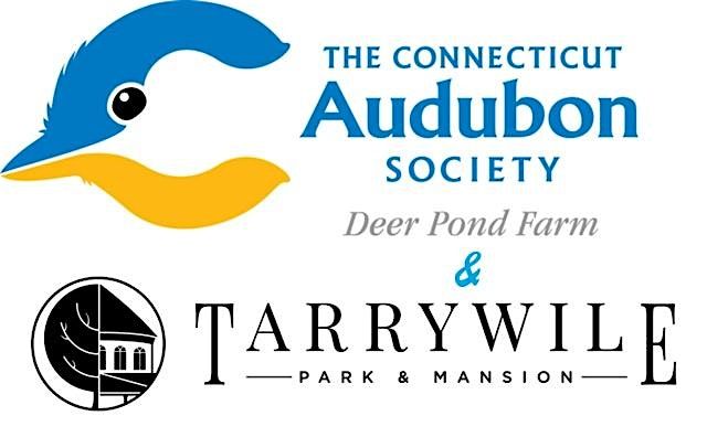 Winter Birds & Nature Hike at Tarrywile