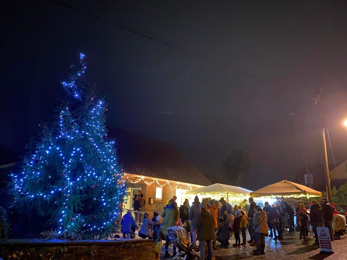 The Great Budock Water Christmas Lights Switch-On