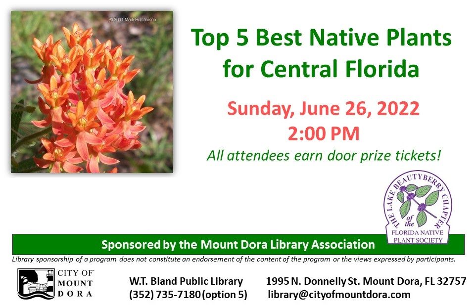 Top 5 Best Native Plants for Central Florida