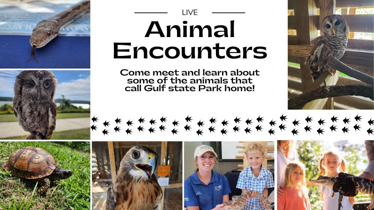 Live Animal Encounter