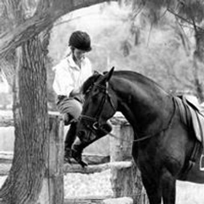 Dressage 2B Shore & River Range Warmblood Stud
