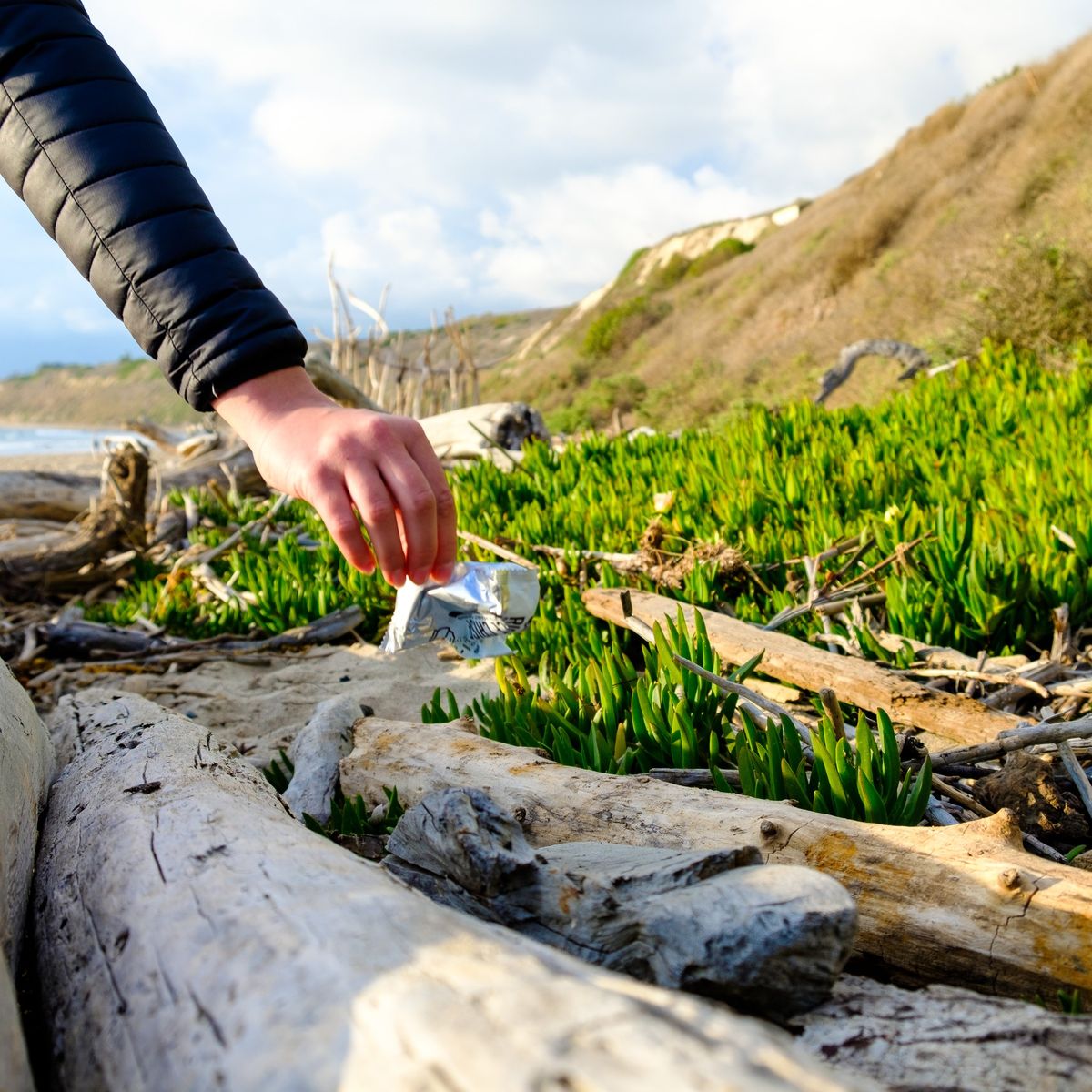 Santa Barbara Beach Cleanup